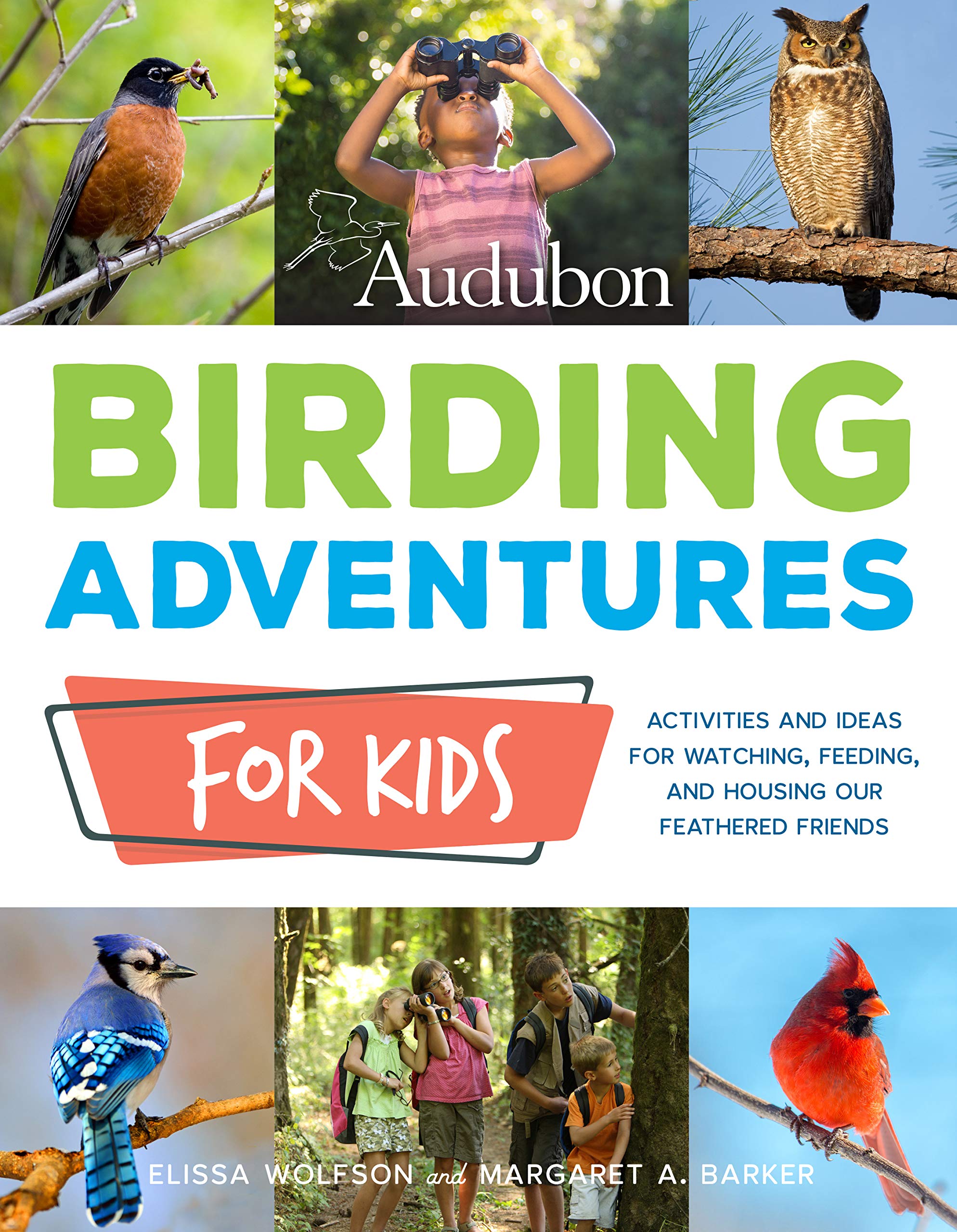birding adventures for kids book cover