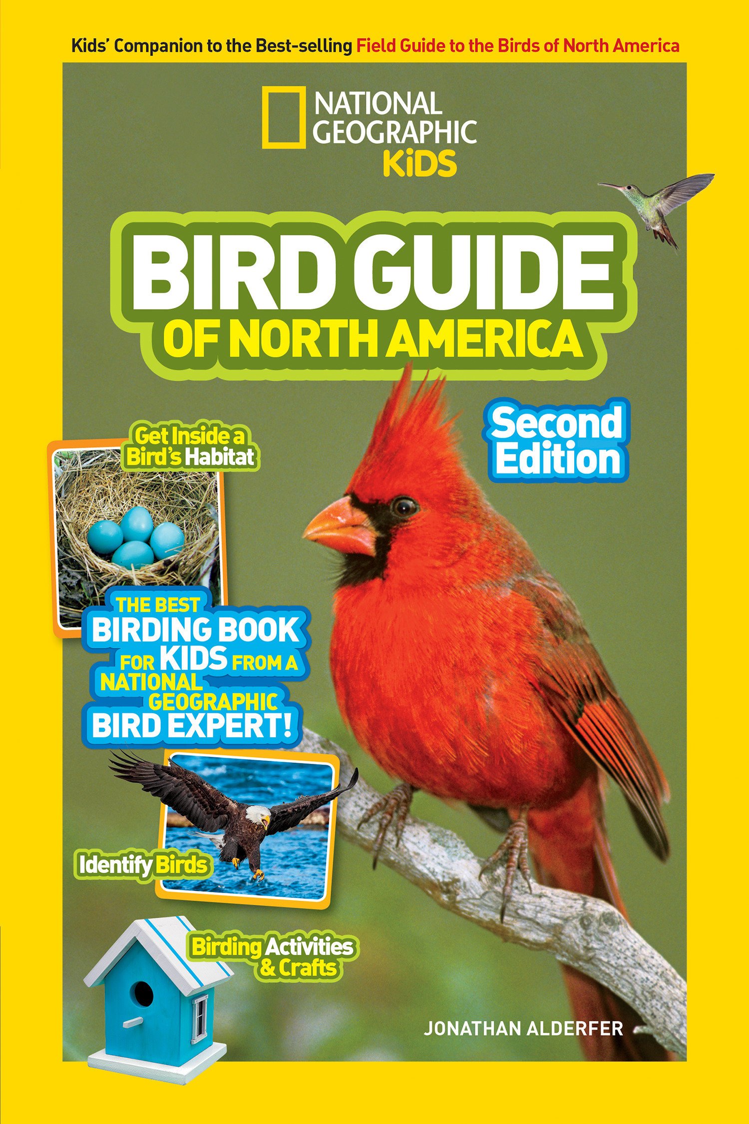 backyard birds book cover
