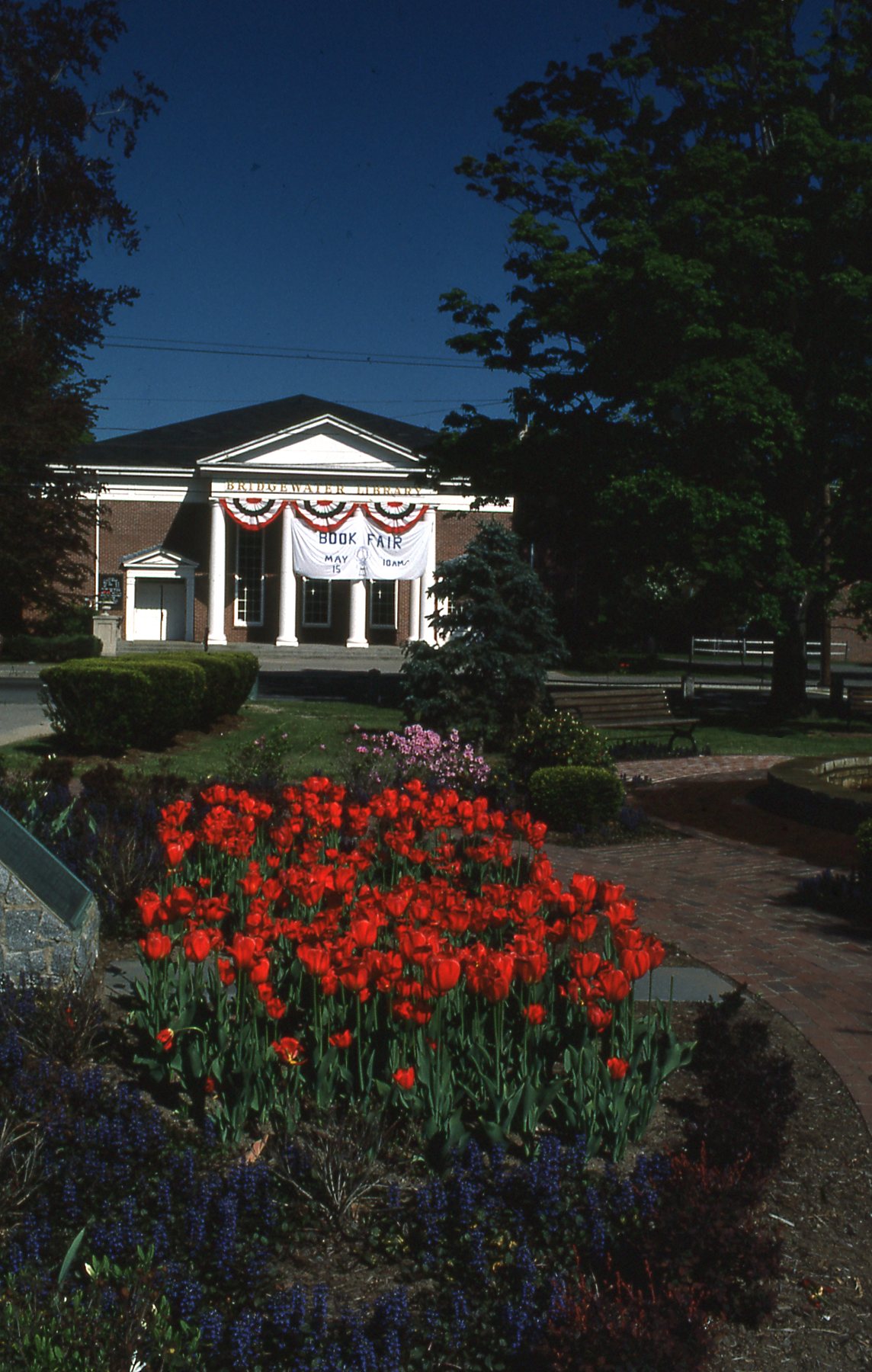 View of Library from Academy Building fountain