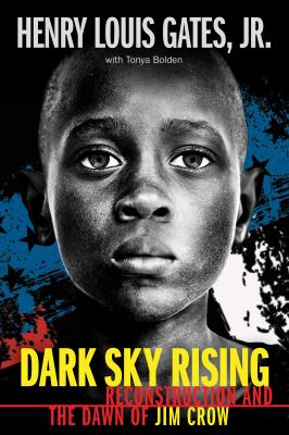 dark sky rising book cover