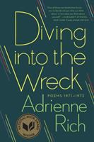 diving into the wreck book cover