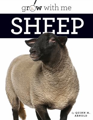 sheep cover