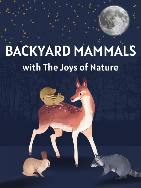 deer, chipmunk, rabbit, and racoon in dark woods with moon and text that reads backyard mammals with the joys of nature