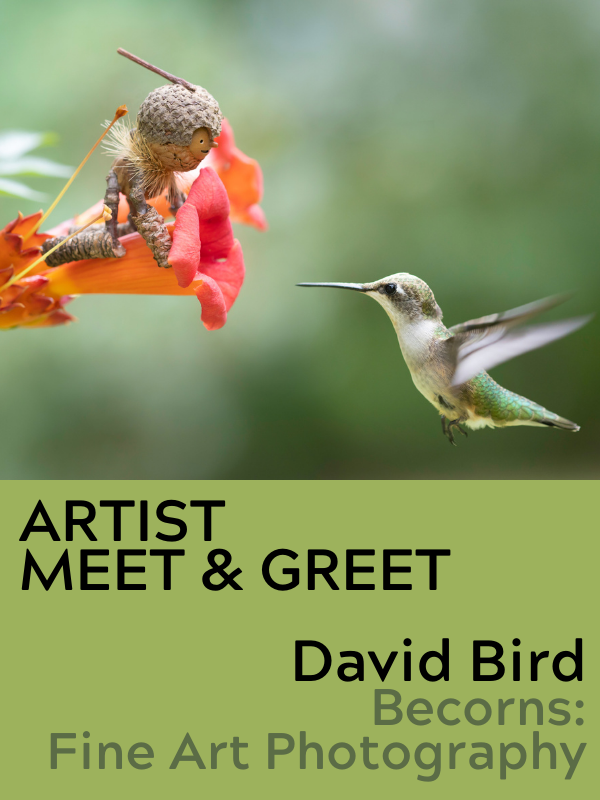 David Bird becorn photograph with text that reads Artist Meet & Great David Bird