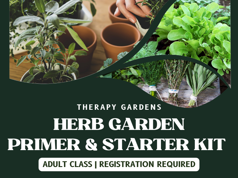 image of plants and herbs. text reads therapy gardens. herb garden. primer and starter kit. adult class. registration required. 