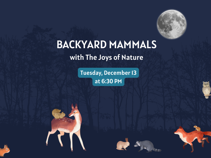 deer, chipmunk, squirrel, rabbit, racoon, fox, and mouse in dark woods with big moon and text that reads backyard mammals with the joys of nature tuesday december 13 at 6:30 pm