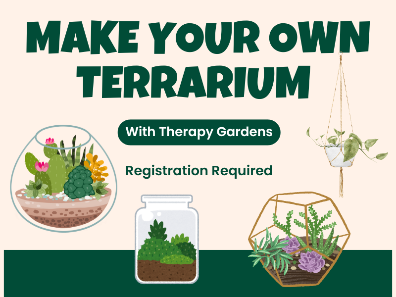 image of terrariums. text reads Make Your Own Terrarium. With Therapy Gardens. Registration Required. 