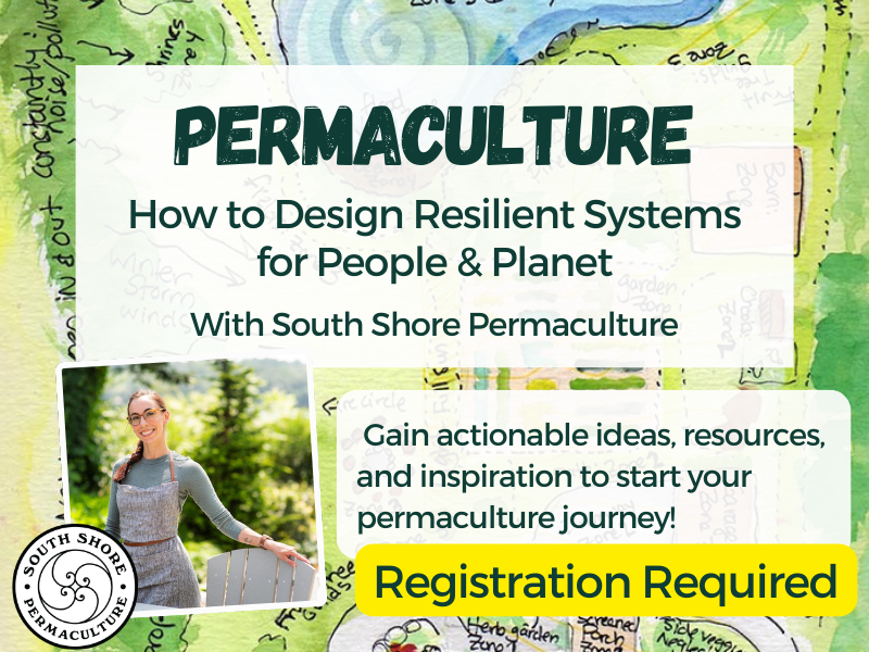 image of photo of woman and logo of Shout Shore Permaculture. Text Reads Permaculture. How to Design Resilient Systems for People and Planet  with South SHore Permacutlure Gain actionable ideas, resources, and inspiration to start your permaculture journey! Registration required. 