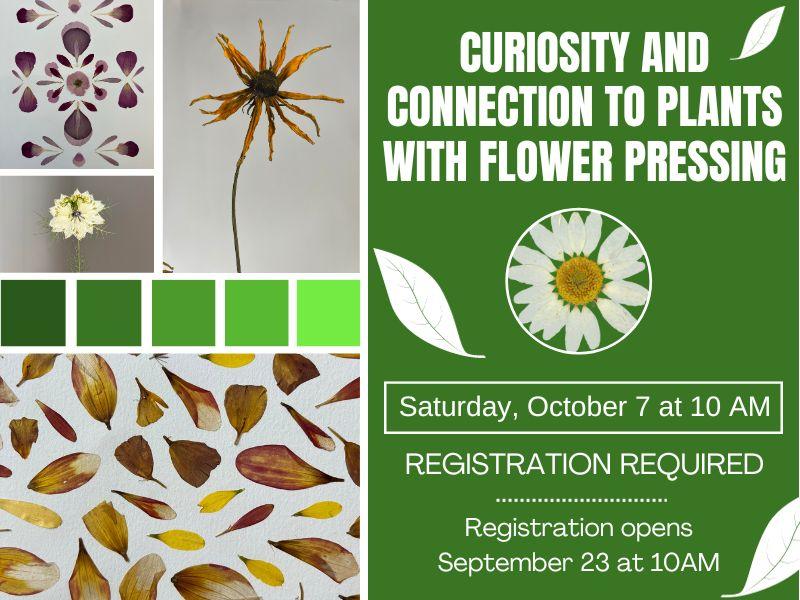 Photos of pressed flowers and text that reads: Curiosity and Connection to Plants with Flower Pressing. Saturday, October 7 at 10AM. Registration Required. Registration opens September 23 at 10AM.